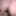 Double penetration, NICE ANAL CLOSE UP! Vol 3 #30