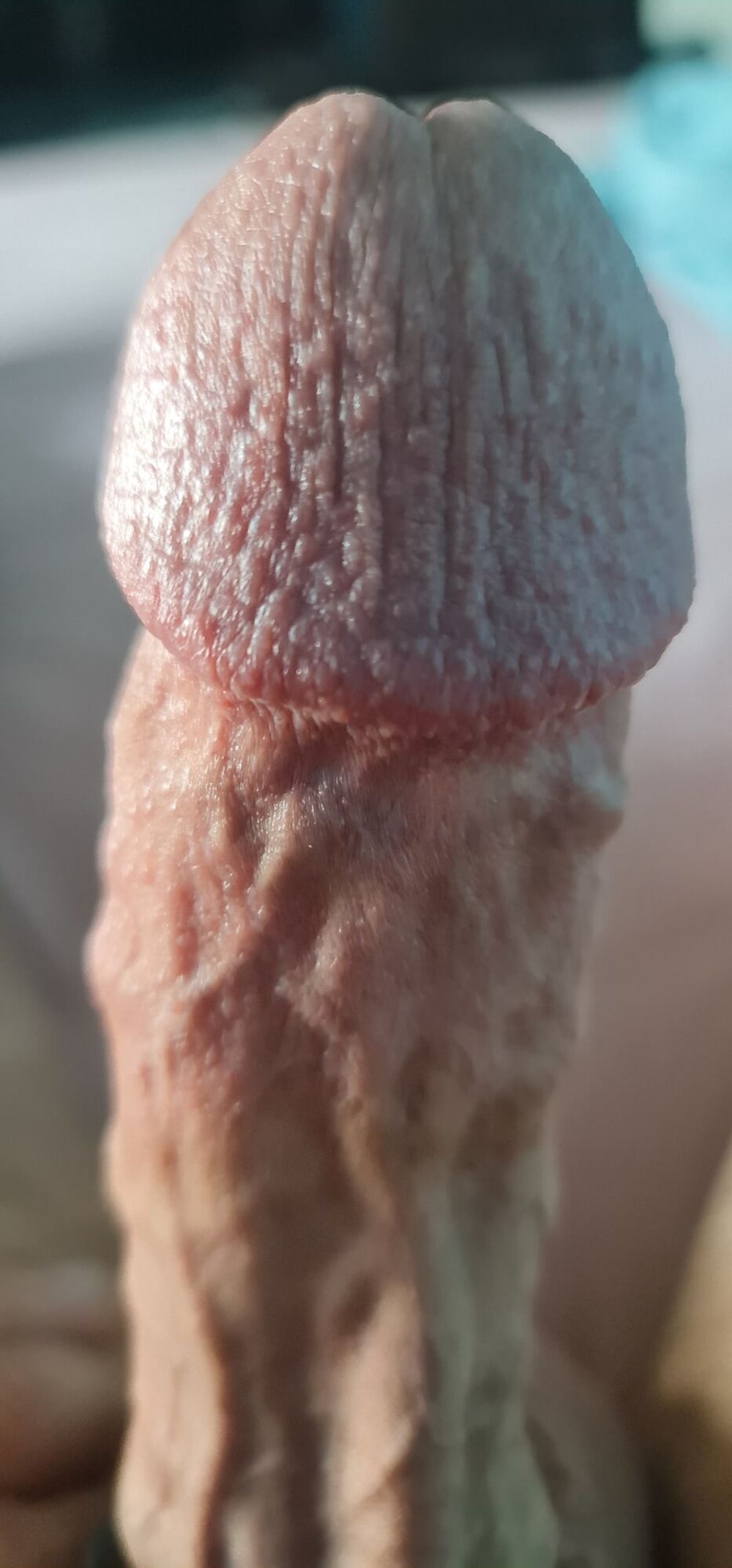 My veiny hard cock in close up #29