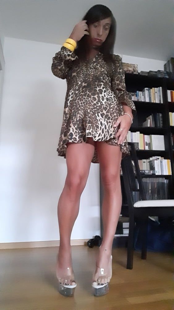 Sissy Tygra in leopard dress on 2019 octobre. #21