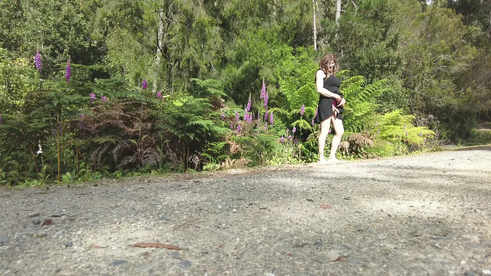 Crossdress Road Trip - Forest Road - Black Dress #6