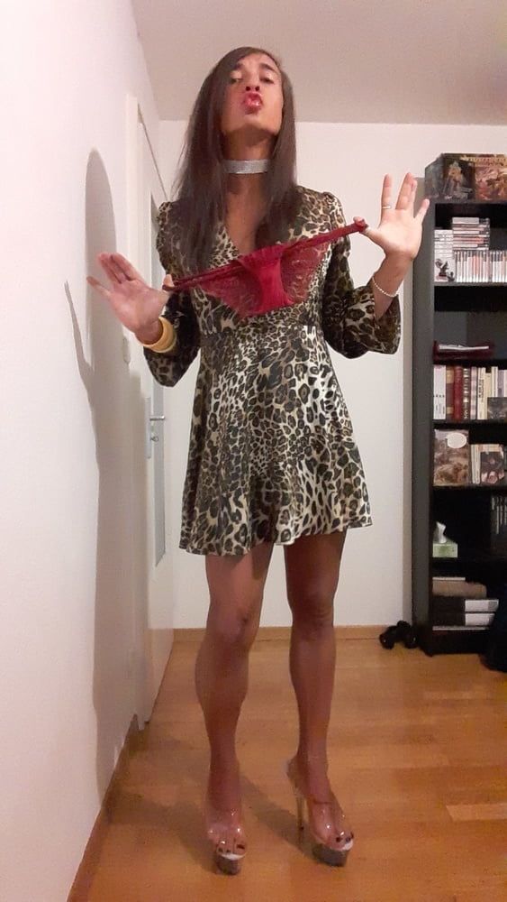 Sissy Tygra in leopard dress on 2019 octobre. #58