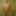 Kinky beauty masturbates in the shower for me #47