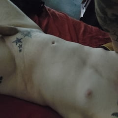 Penis