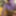 フェムボーイの写真(2025年4月)