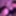 Free Eva Photos