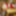 Emi Aoi :: Creampie Santa Girl 2020 - CARIBBEANCOM #18