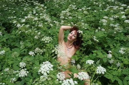 in white flowers           