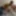 I want to shoot another porn movie