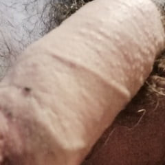 Cock