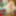 NEW 2019 Pics #3