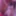Dirndl 2025 #4