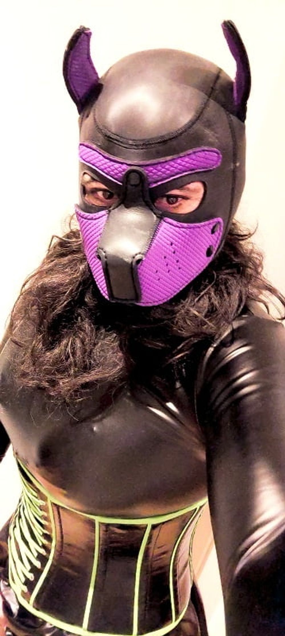 Latex Dog  #7