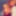 OF Photos