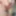 My rich cock with a rich erection and without waxing - 01 #4