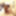 Tyler Free Photos