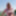 Album 2025 #1