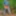 2019 Summer  #4