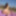 Beauty in stockings teases at the beach