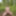 Fag Christoph Straubinger naked in the forest #25