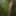 Wanking in the woods #4