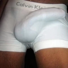 Big White Cock
