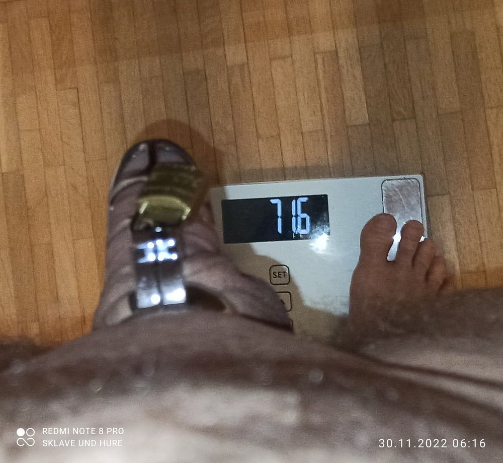 mandatory weighing and cagecheck of 30.11.23 #7