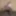 FEMOUT.XXX: Ana Dubrova is a Work of Art #4