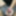 Yoga Class turns into creampies, possibly Impregnated #6