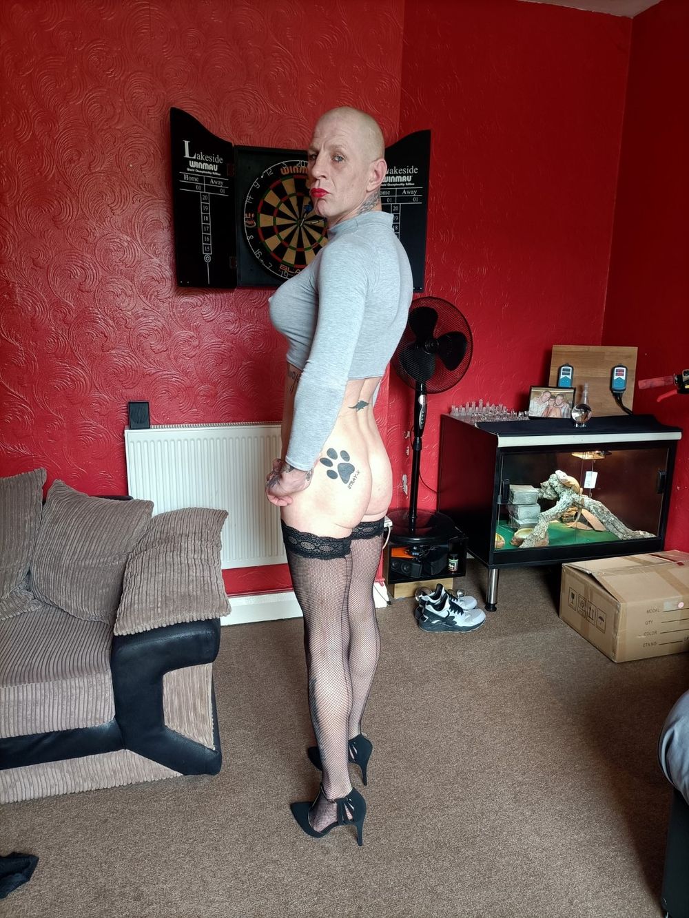 Sissyboy David Anderson #16