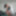 New Album 2025 #11