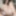 Alice Free Photos