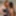 TGIRLS.PORN: Erica Breaks In Victoria Grant