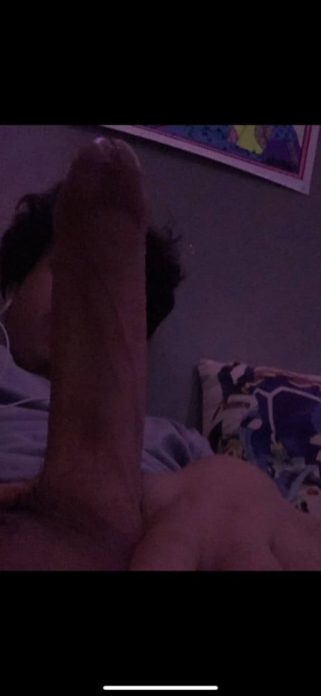 Young cock  #2