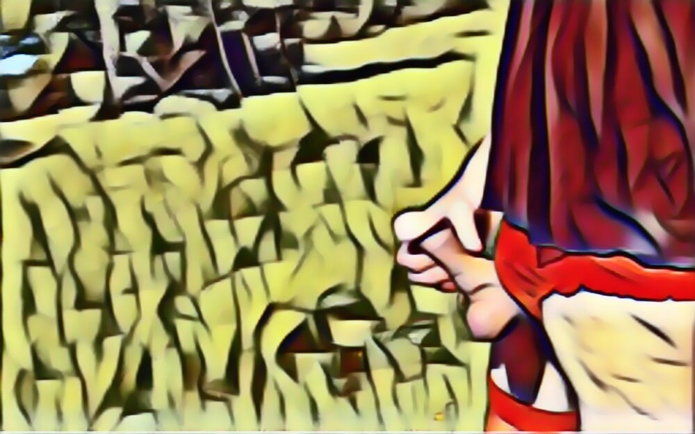 More Arty Sissy Cock Pictures #10