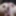 Photos March / 2023