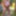 Sexy Crossdresser kellycd2022  cumshot compilation  #32