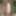 October 2017 Cock #54