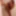 Tygra babe eat the two sides of large cumcumber. #2