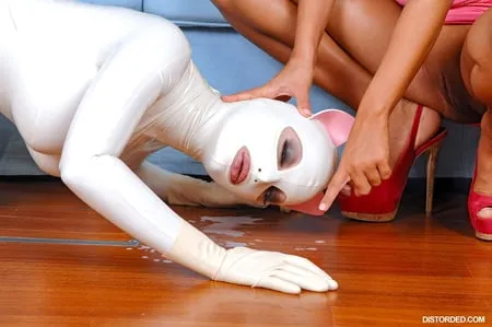 latex pussycat purrs at distorded         