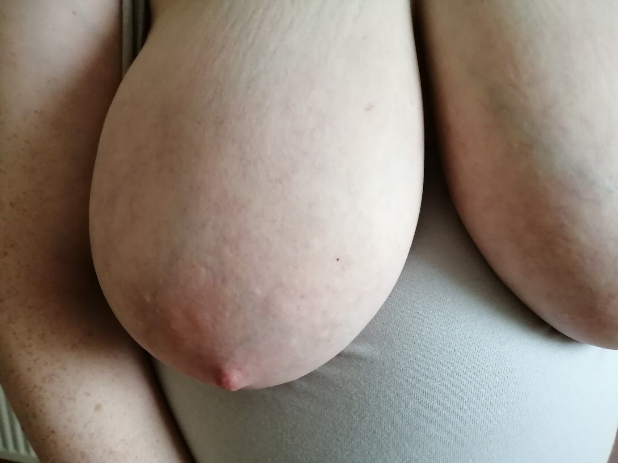 Good-quality photos of my tits #6