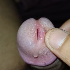 Big cocks 