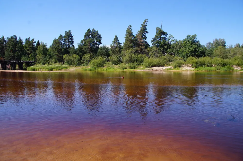 In water of Loch-river #3