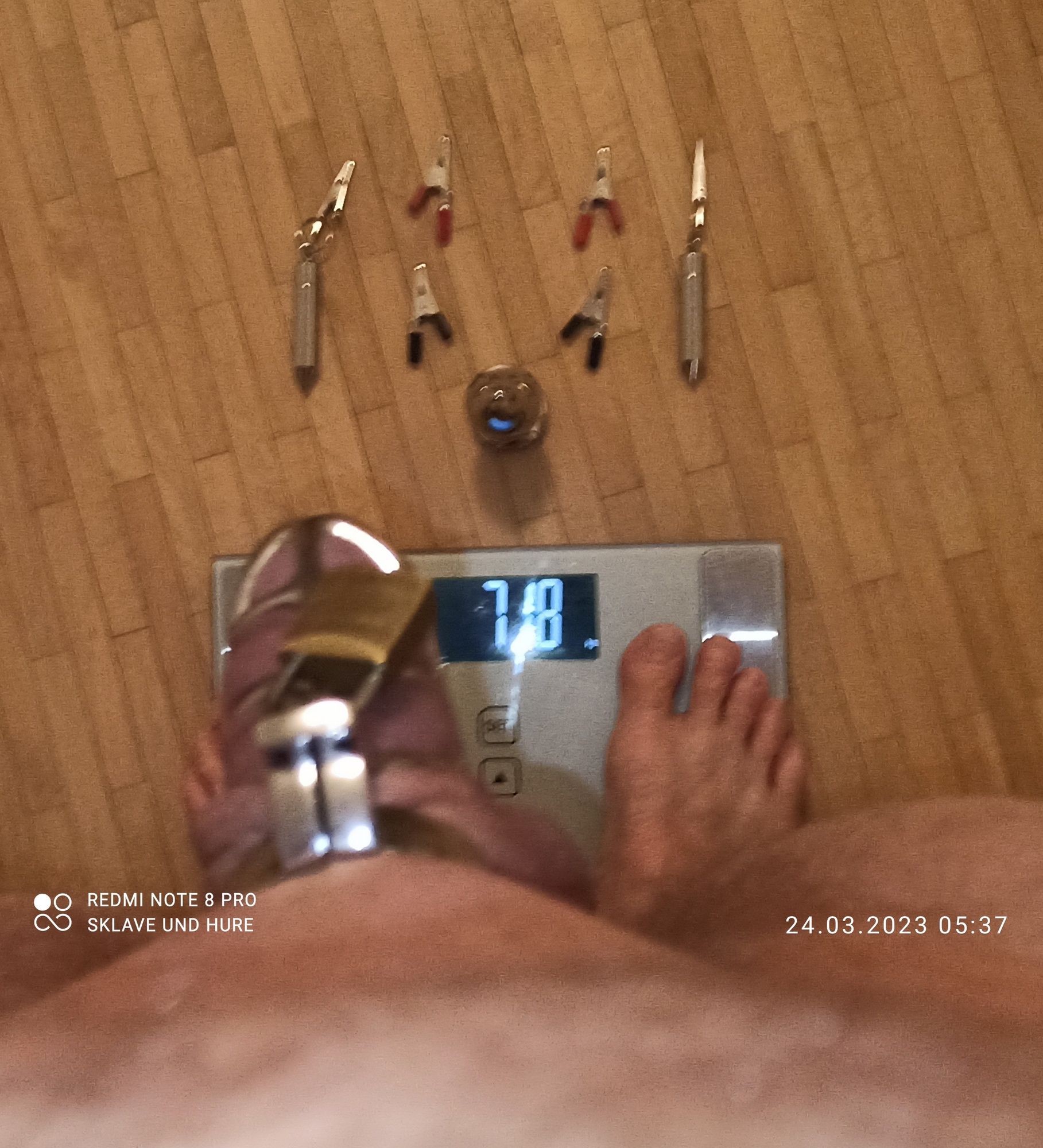 Reward, weighing and cagecheck of 24.03.2023