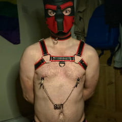 Pup Play