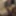 amateur transvestite sounding urethral lingerie 1