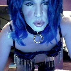 Leashed like a Dog