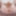 BOBSTGIRLS: Brooke Zanell is Back
