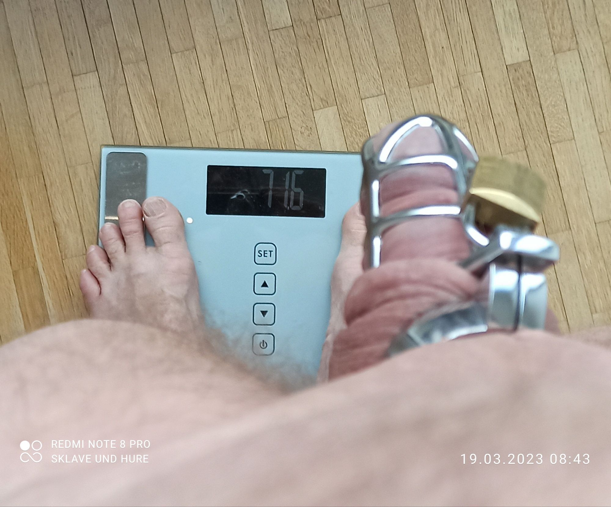 mandatory weighing and cagecheck of 19.03.2023 #3