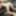 FEMOUT.XXX: Butts Up and Cocks at the Ready #4