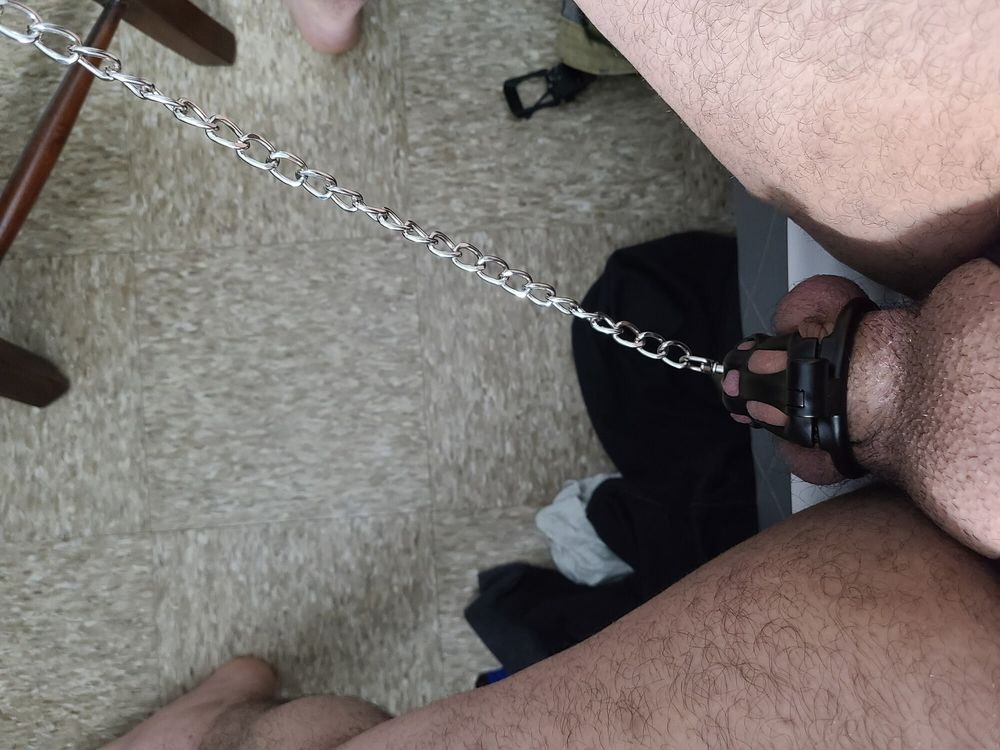 Leashed and nipple trained #16